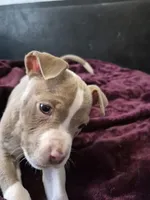 processed/81cd0660-c59c-4170-ab1b-8b8c0918cba1/listing/cca58162-8727-4997-94f4-eed94c8fcaf3/ca8a9d64-e48e-4059-b4e9-5615e3415fd4