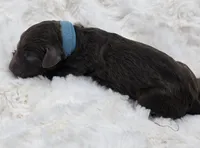 processed/81d10474-937f-41f0-968a-a567341b0eee/listing/3ee767fd-78bc-4876-b625-3fec992538a3/49689de3-bac4-4efe-8f3e-09573acbf614