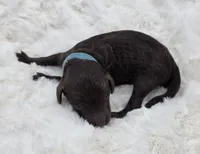 processed/81d10474-937f-41f0-968a-a567341b0eee/listing/3ee767fd-78bc-4876-b625-3fec992538a3/779ef87c-cb84-47a8-aa2e-471d83c4fa60