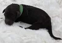 processed/81d10474-937f-41f0-968a-a567341b0eee/listing/410fa6bf-3bc3-4232-863a-a06630794a1c/83046b44-463f-44f7-a711-f11ff35dc627