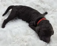 processed/81d10474-937f-41f0-968a-a567341b0eee/listing/51d9b488-5f3b-4331-94cb-254f5f5b94ca/7e407a22-6b32-4a4f-8576-79d915ba088b