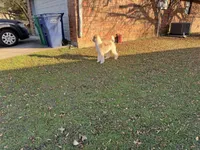 processed/81d10474-937f-41f0-968a-a567341b0eee/listing/5cf785a4-54a9-4c3c-93cd-28a697d5c0ea/18f6d7c6-b44e-4e68-86c2-3c406e6e0ea1