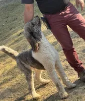 processed/81d10474-937f-41f0-968a-a567341b0eee/listing/5cf785a4-54a9-4c3c-93cd-28a697d5c0ea/8ec0eb42-1a35-4050-a836-65233153a75d