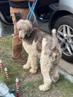 processed/81d10474-937f-41f0-968a-a567341b0eee/listing/5cf785a4-54a9-4c3c-93cd-28a697d5c0ea/a3089453-e503-4cb2-a6e9-cb9809cbf848