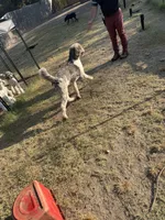 processed/81d10474-937f-41f0-968a-a567341b0eee/listing/5cf785a4-54a9-4c3c-93cd-28a697d5c0ea/b4dbe5ad-2f56-43b5-8da0-d785da892e2c