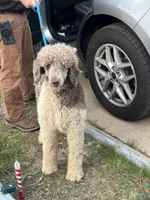 processed/81d10474-937f-41f0-968a-a567341b0eee/listing/5cf785a4-54a9-4c3c-93cd-28a697d5c0ea/d98a667c-c434-408e-8728-47921111b320