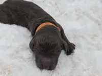 processed/81d10474-937f-41f0-968a-a567341b0eee/listing/7fc838ef-b643-4bc0-95d7-11e38d672a5a/b355cd33-9ac1-4b30-a4c1-e0df448b6162