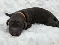 processed/81d10474-937f-41f0-968a-a567341b0eee/listing/7fc838ef-b643-4bc0-95d7-11e38d672a5a/d3990db0-3a9c-47fd-abf5-e94832ec999e