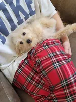 processed/81d386e0-05db-40d0-b878-9eb96b5e3d36/listing/ee0a7a0c-590c-4006-b36d-13a627ba26f1/52c2f1cd-6605-4392-8d17-a239c83ebfbb