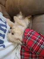 processed/81d386e0-05db-40d0-b878-9eb96b5e3d36/listing/ee0a7a0c-590c-4006-b36d-13a627ba26f1/5463e3ae-0548-46cb-93ff-1f1827da7a5c