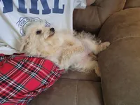 processed/81d386e0-05db-40d0-b878-9eb96b5e3d36/listing/ee0a7a0c-590c-4006-b36d-13a627ba26f1/c9275b7e-d69c-4b21-a452-9fa401af682b