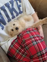 processed/81d386e0-05db-40d0-b878-9eb96b5e3d36/listing/ee0a7a0c-590c-4006-b36d-13a627ba26f1/d26c6a21-bea1-44dc-8763-4218dfbd6a64