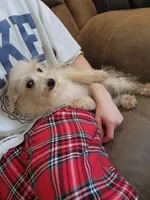 processed/81d386e0-05db-40d0-b878-9eb96b5e3d36/listing/ee0a7a0c-590c-4006-b36d-13a627ba26f1/d962f4de-dce3-4560-94f8-23c96149b59d