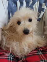 processed/81d386e0-05db-40d0-b878-9eb96b5e3d36/listing/ee0a7a0c-590c-4006-b36d-13a627ba26f1/febc6196-9d79-4283-ba54-0952ed1b4ada