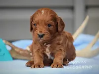 processed/81d91d8d-509a-4a2e-b015-12ce0b41064d/facility/1207fbe3-f45d-4205-a16b-a9c671e47a68