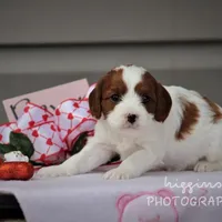 processed/81d91d8d-509a-4a2e-b015-12ce0b41064d/facility/3d556f1c-0d90-4de6-8c59-b62f2fb63289