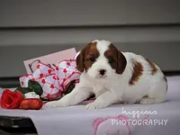 processed/81d91d8d-509a-4a2e-b015-12ce0b41064d/facility/3d556f1c-0d90-4de6-8c59-b62f2fb63289