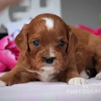 processed/81d91d8d-509a-4a2e-b015-12ce0b41064d/facility/d9a72f80-3f7c-4abb-a503-11010fa24fc9