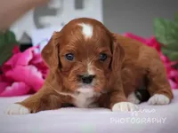 processed/81d91d8d-509a-4a2e-b015-12ce0b41064d/facility/d9a72f80-3f7c-4abb-a503-11010fa24fc9