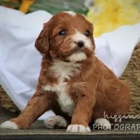 processed/81d91d8d-509a-4a2e-b015-12ce0b41064d/facility/ed26698b-8c0b-46d6-b89d-eff8ba55049e