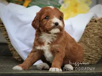 processed/81d91d8d-509a-4a2e-b015-12ce0b41064d/facility/ed26698b-8c0b-46d6-b89d-eff8ba55049e