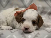 processed/81d91d8d-509a-4a2e-b015-12ce0b41064d/listing/e0bb8261-45dc-4256-9f9c-36e7664edc90/11bd4e2b-f1bc-475f-8583-20c6d1ff105b