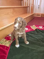 processed/81dc91cf-9b0e-4be8-9314-3c09b3e2f7a3/listing/0cf8a2cf-6081-44b7-9358-9aeff9224522/68e47270-bb50-48f0-9f51-ef3e38fdd71a