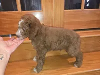 processed/81dc91cf-9b0e-4be8-9314-3c09b3e2f7a3/listing/0cf8a2cf-6081-44b7-9358-9aeff9224522/9c5aaf5f-f329-4e01-8f99-5c1b03147a68