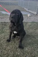 processed/81dc91cf-9b0e-4be8-9314-3c09b3e2f7a3/listing/2f963535-49c6-4fa2-b199-d4433a85e15a/f0df6041-a807-40e6-ab79-181baf325745