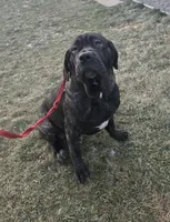 processed/81dc91cf-9b0e-4be8-9314-3c09b3e2f7a3/listing/2f963535-49c6-4fa2-b199-d4433a85e15a/f7d8528a-21a1-4689-939c-d32f2b6b7b7b