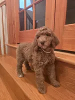 processed/81dc91cf-9b0e-4be8-9314-3c09b3e2f7a3/listing/5dab13a1-ca36-40d7-ac97-d0692173ac32/432992e0-40ea-4111-bd8c-b8c6fd5f7b8b