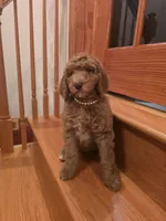 processed/81dc91cf-9b0e-4be8-9314-3c09b3e2f7a3/listing/5dab13a1-ca36-40d7-ac97-d0692173ac32/a57f0ca8-4c18-4b41-9f39-88f586bb3981