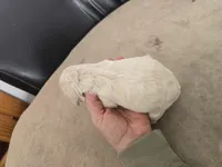 Trixie, a female Cocker Spaniel for sale in Port Crane, NY – Photo 2 of 2