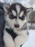 processed/81e4efd4-dc3c-427e-b6de-d0776f1d8c7e/listing/5701af8a-2213-40ef-82d1-80493816bc61/676fdbf4-5381-4c7a-82f7-6db7b7481d4c