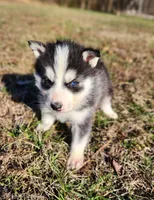 processed/81e4efd4-dc3c-427e-b6de-d0776f1d8c7e/listing/5701af8a-2213-40ef-82d1-80493816bc61/77ec35d5-274c-49c1-8bda-a67b2fe20047