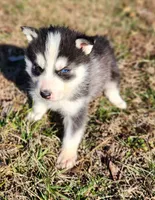 processed/81e4efd4-dc3c-427e-b6de-d0776f1d8c7e/listing/5701af8a-2213-40ef-82d1-80493816bc61/b311209b-8ad2-4309-b247-0f469f9e0394