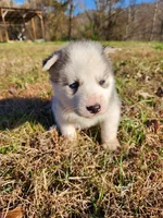 processed/81e4efd4-dc3c-427e-b6de-d0776f1d8c7e/listing/9c2b7ce7-3a15-493e-9879-6658c258831e/1768d32a-e7da-469b-a6d1-fb6da935ba3c