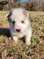 processed/81e4efd4-dc3c-427e-b6de-d0776f1d8c7e/listing/9c2b7ce7-3a15-493e-9879-6658c258831e/414b8cb4-ade9-4a21-bf6b-ef840f032902