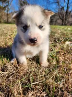 processed/81e4efd4-dc3c-427e-b6de-d0776f1d8c7e/listing/9c2b7ce7-3a15-493e-9879-6658c258831e/78945349-a8a8-4802-85af-bcc800e58d16