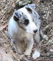 processed/81ea27f4-55ca-4eb4-9c98-f4464aa0795c/listing/ee12594e-7d7f-4171-8cec-59d5cef170b6/108be7c1-d911-466c-83bf-44825f599b84