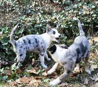 processed/81ea27f4-55ca-4eb4-9c98-f4464aa0795c/listing/ee12594e-7d7f-4171-8cec-59d5cef170b6/43d4bd3c-f13b-4064-a741-5c0a7ad54b81