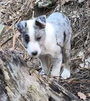 processed/81ea27f4-55ca-4eb4-9c98-f4464aa0795c/listing/ee12594e-7d7f-4171-8cec-59d5cef170b6/5e32817a-d0f7-4b7b-acb8-b0035e9f5817