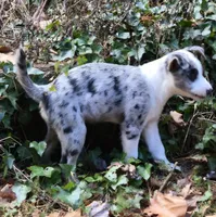 processed/81ea27f4-55ca-4eb4-9c98-f4464aa0795c/listing/ee12594e-7d7f-4171-8cec-59d5cef170b6/92c44f52-302e-478a-8fbc-ae423b00ee39