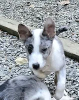 processed/81ea27f4-55ca-4eb4-9c98-f4464aa0795c/listing/ee12594e-7d7f-4171-8cec-59d5cef170b6/9a8cbcf6-55f0-48f0-a3b5-9f00b4842aba