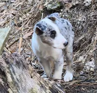 processed/81ea27f4-55ca-4eb4-9c98-f4464aa0795c/listing/ee12594e-7d7f-4171-8cec-59d5cef170b6/a4acc60c-2c4d-4b76-a3cf-cd5d810e5f54