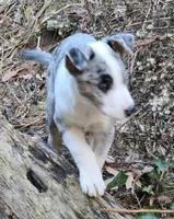 processed/81ea27f4-55ca-4eb4-9c98-f4464aa0795c/listing/ee12594e-7d7f-4171-8cec-59d5cef170b6/b075a1fb-daf3-4132-97d6-70c8d593ff45