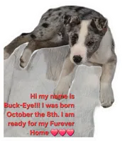 processed/81ea27f4-55ca-4eb4-9c98-f4464aa0795c/listing/ee12594e-7d7f-4171-8cec-59d5cef170b6/b9f116f9-706d-4d2b-8f92-36c4d2a21d25