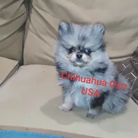 processed/81ea60fd-fd88-4c7a-9ec3-fbd8f6383bd3/facility/030e8266-70bc-4b53-bb5b-fbed09e0d5ee