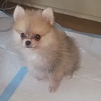 processed/81ea60fd-fd88-4c7a-9ec3-fbd8f6383bd3/facility/73944bc3-99c7-4f43-b46e-133d5b627d2e