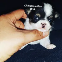 processed/81ea60fd-fd88-4c7a-9ec3-fbd8f6383bd3/facility/886214fd-3521-4f4b-8baf-d455fb637cbb